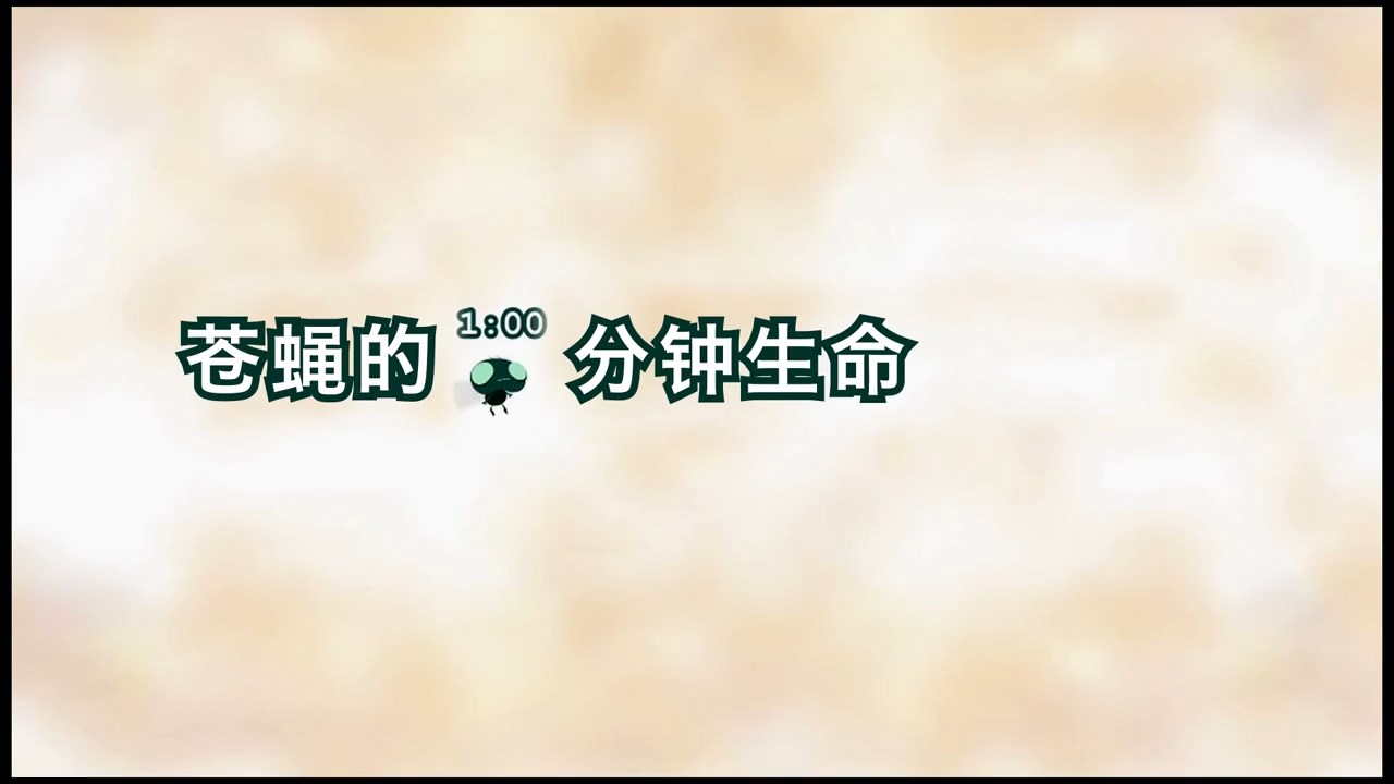 看完沉默了！蒼蠅的 60 秒，道盡了生命的珍貴與力